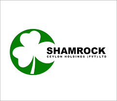 Shamrock